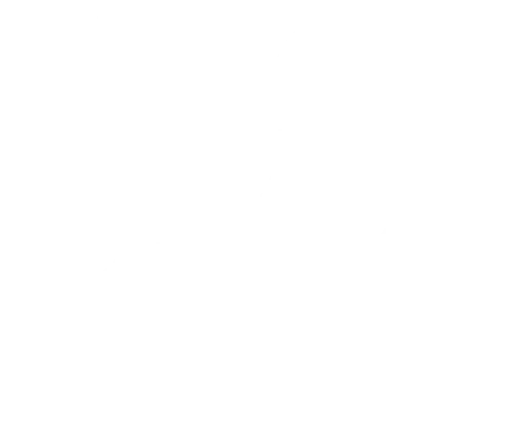 Dilwale Shop